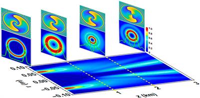 Propagation behavior of orbital angular momentum in vector anomalous vortex beams under maritime atmospheric turbulence